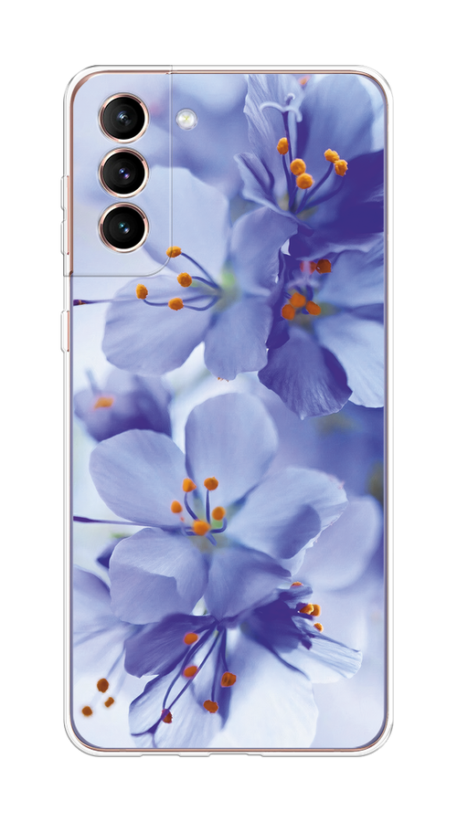 

Чехол на Samsung Galaxy S21 Plus "Фиолетовые цветки", Фиолетовый;синий, 2102150-1