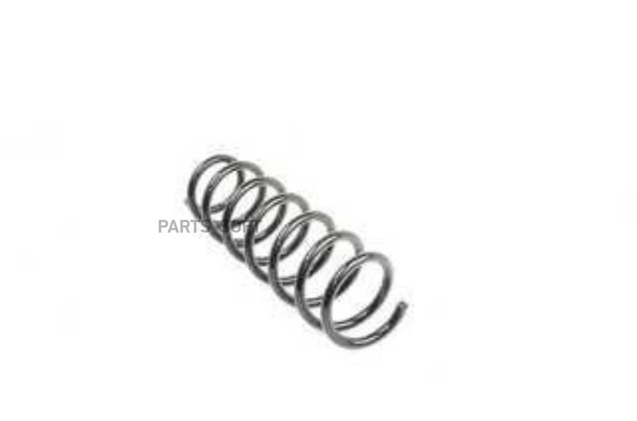 

Пружина Передняя Bsg Auto Parts Bsg15305001 BSG BSG15305001