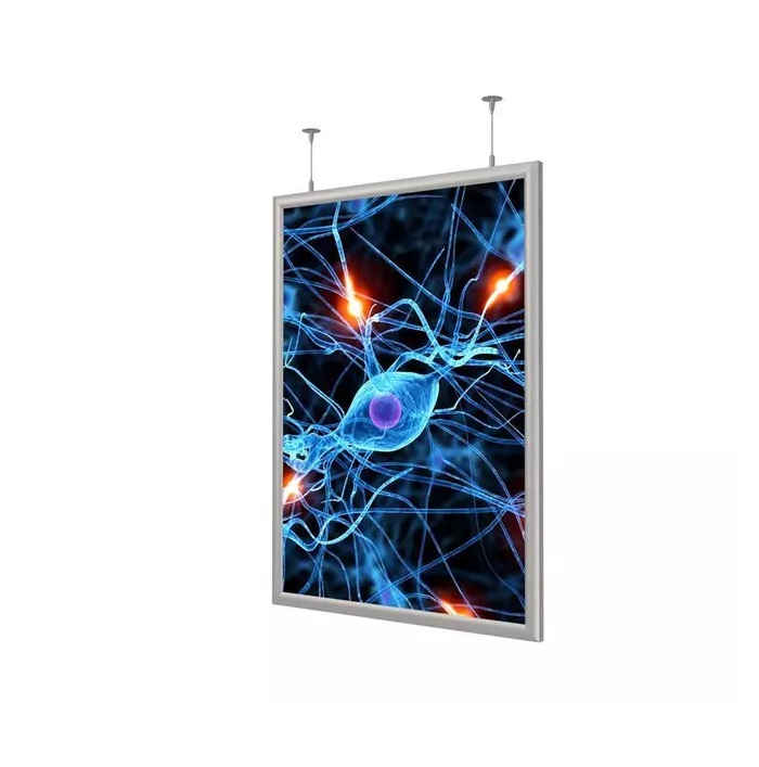 

Панель световая ProMEGA Frame LED 1стор тросы А3+ (327х450) раз.пл. 297х420