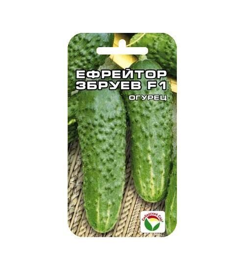 

Огурец Ефрейтор Збруев F1