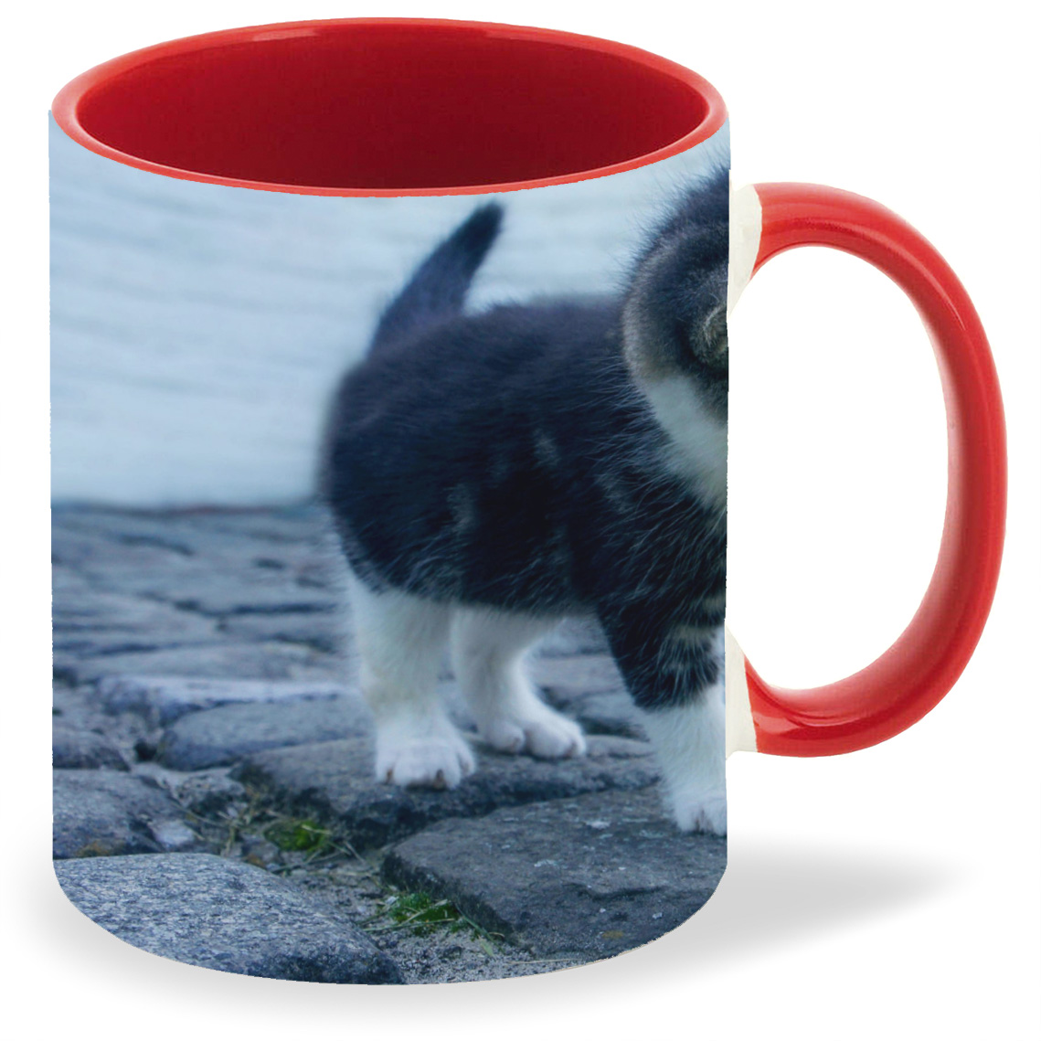 

Кружка CoolPodarok Котёнок и цветок, Котёнок и цветок