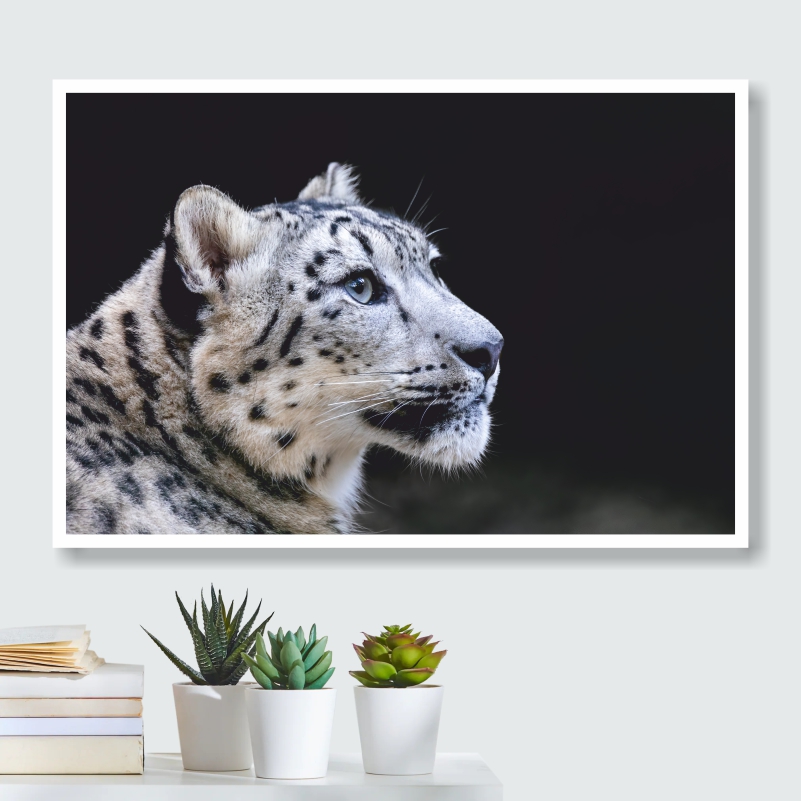 

Постер на холсте ПолиЦентр Снежный Барс 40х30 см, СнежныйБарсТип1