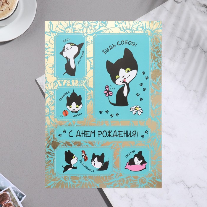 

Открытка "С Днём Рождения" котик, А4 (10 шт), Голубой