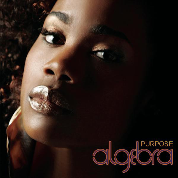 

Algebra: Purpose (1 CD)