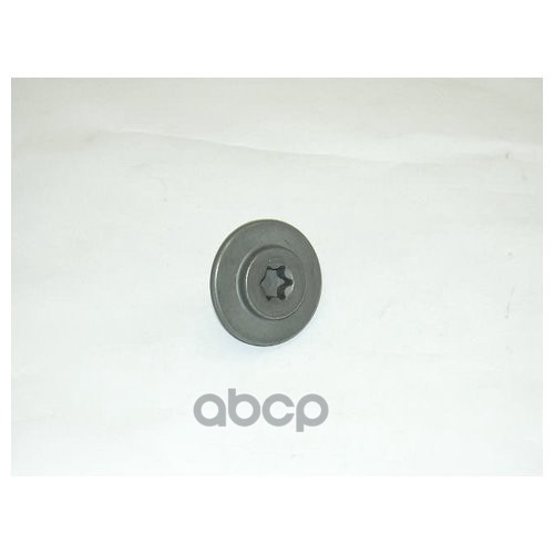 

Заглушка Резьбовая Аudi/Vw VAG wht004914