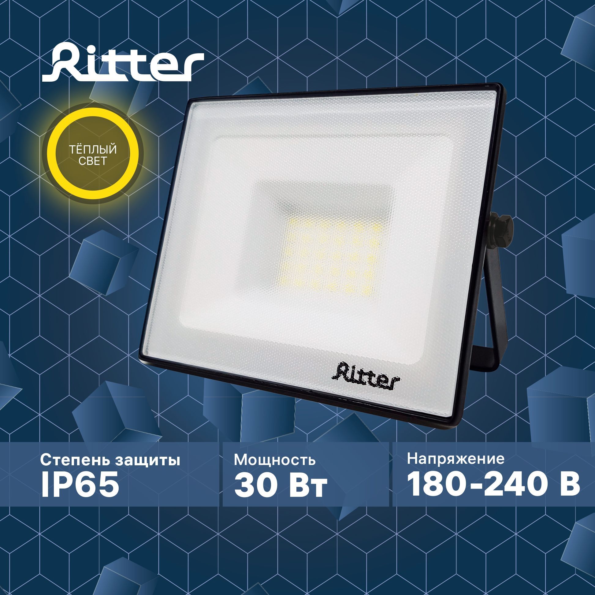 Прожектор Ritter Profi светодиодный 30Вт 2700К 3000Лм IP65 черный