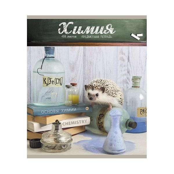 

Тетрадь предметная ПЗБФ 28955 Тайная жизнь ежей химия 48 листов 1 шт, Тайная жизнь ежей