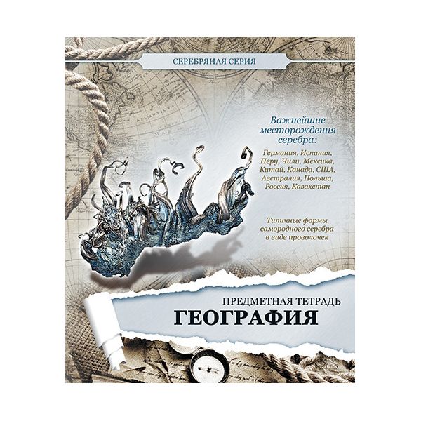 География 48. Тетрадь 48 листов предметная серебряная серия. Тетрадь предметная серебро. Тетрадь серебряная серия. Тетрадь общая серебристая.