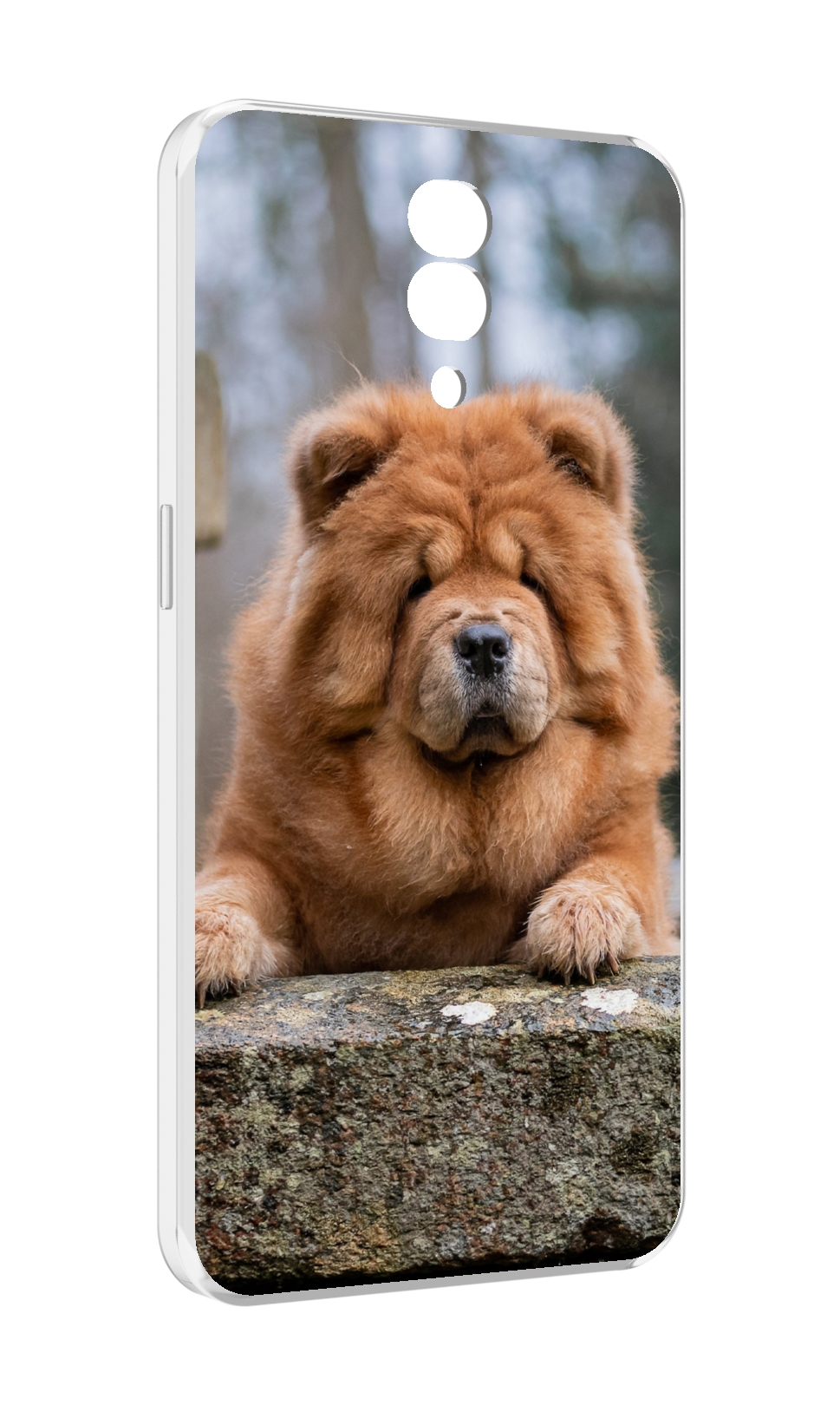 

Чехол MyPads чау чау для Blackview BV7200, Прозрачный, Tocco