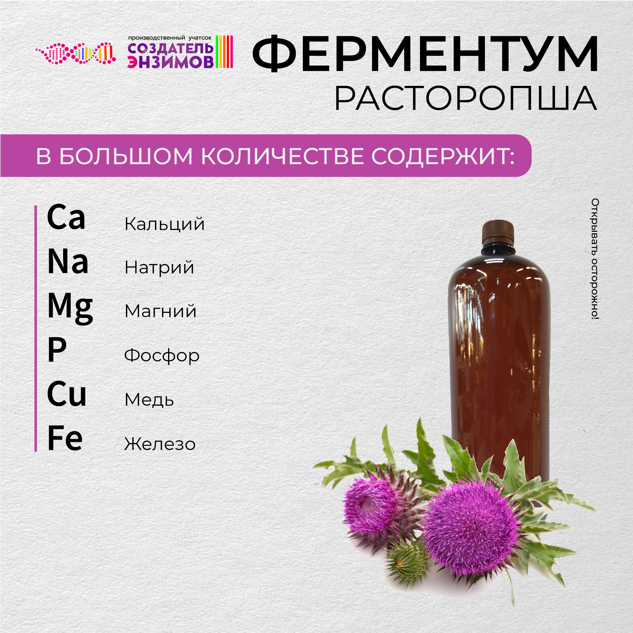 

Ферментум Создатель Энзимов Расторопша 1,75 л, Расторопша