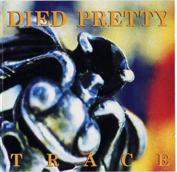 Died Pretty: Trace (1 CD)