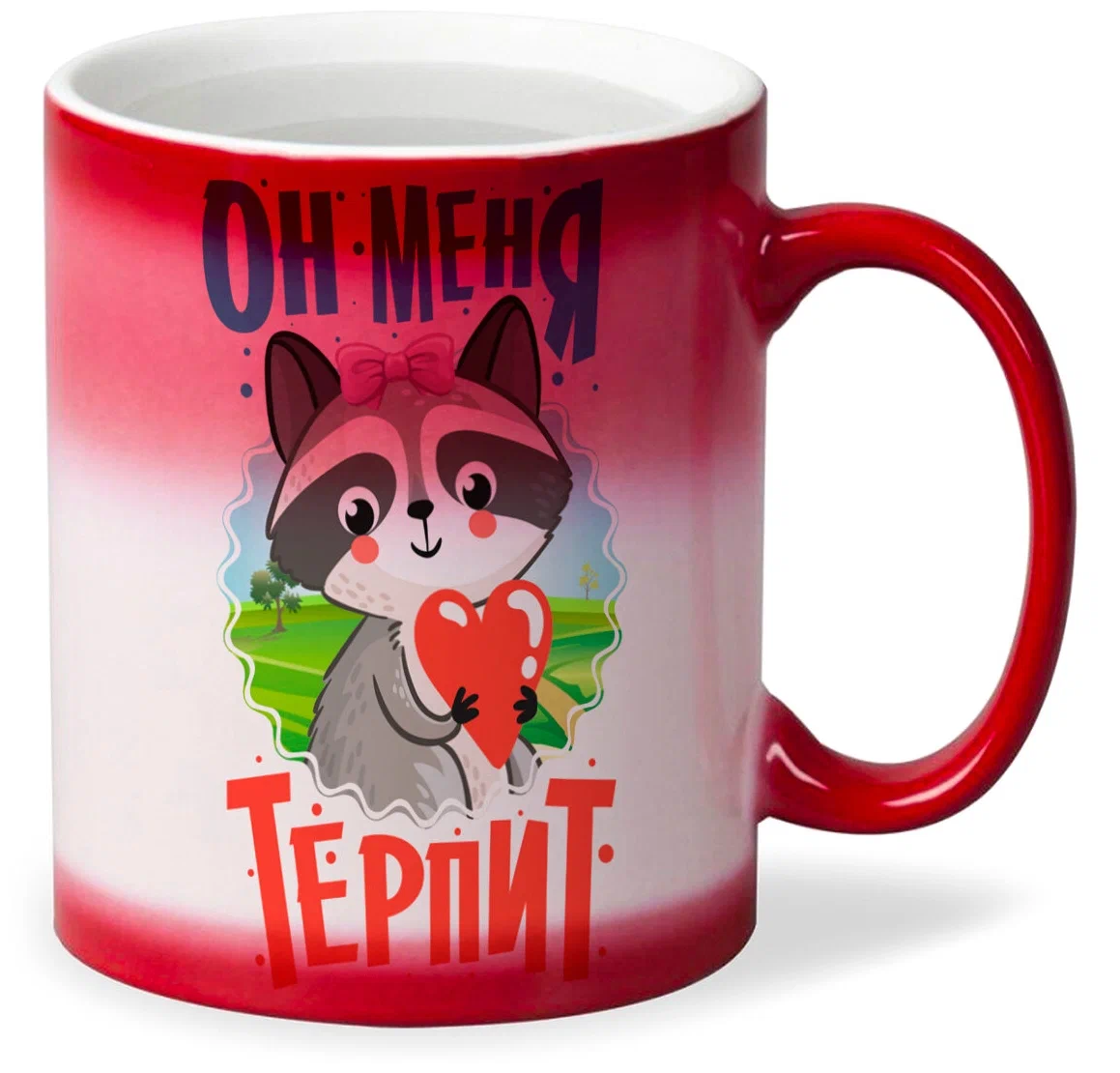 

Кружка CoolPodarok Енот. Он меня терпит