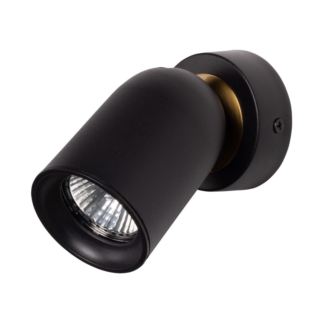 

Спот De Markt Астор 545024301, GU10, 45W