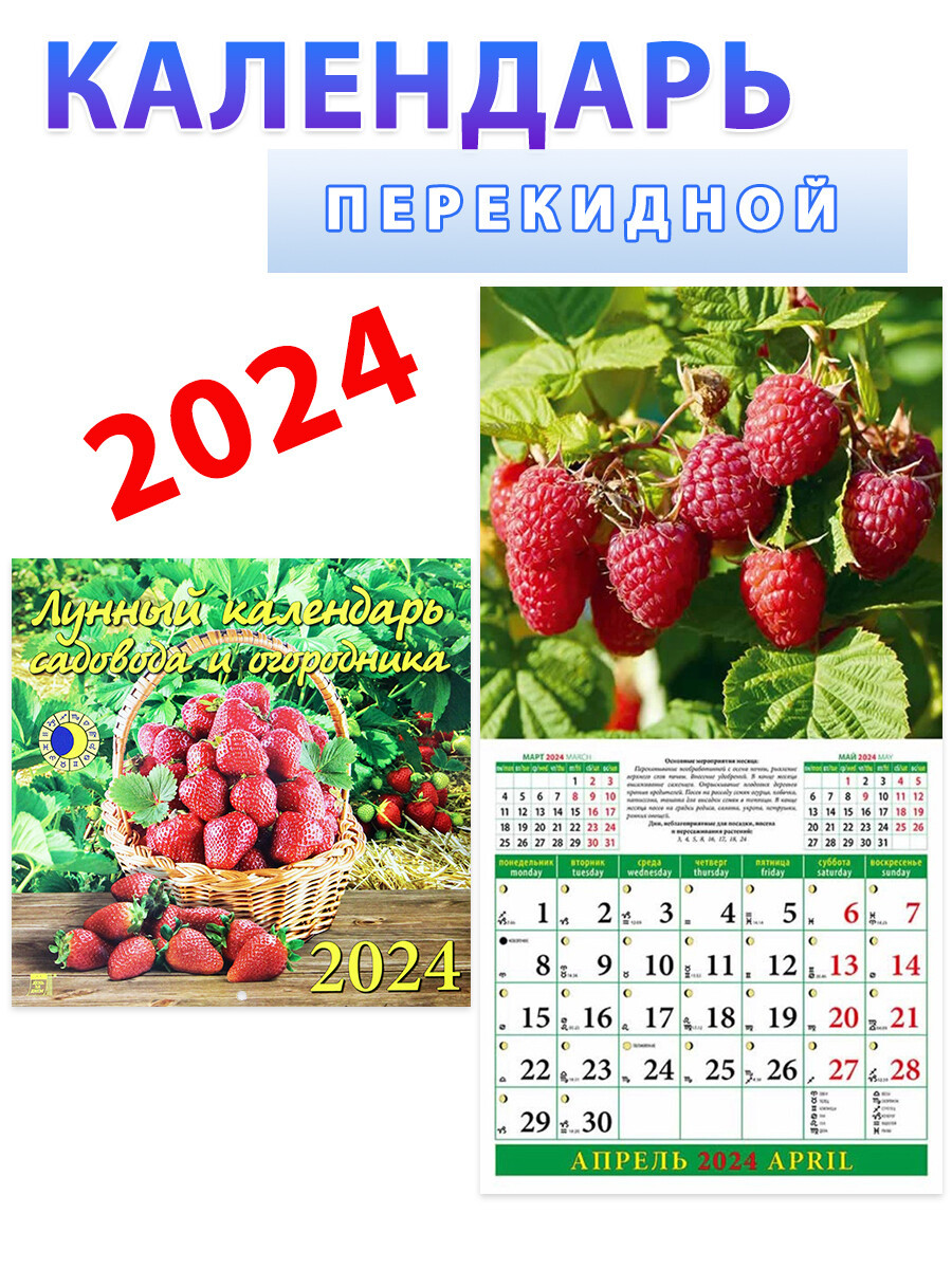 

Лунный календарь садовода и огородника на 2024 год