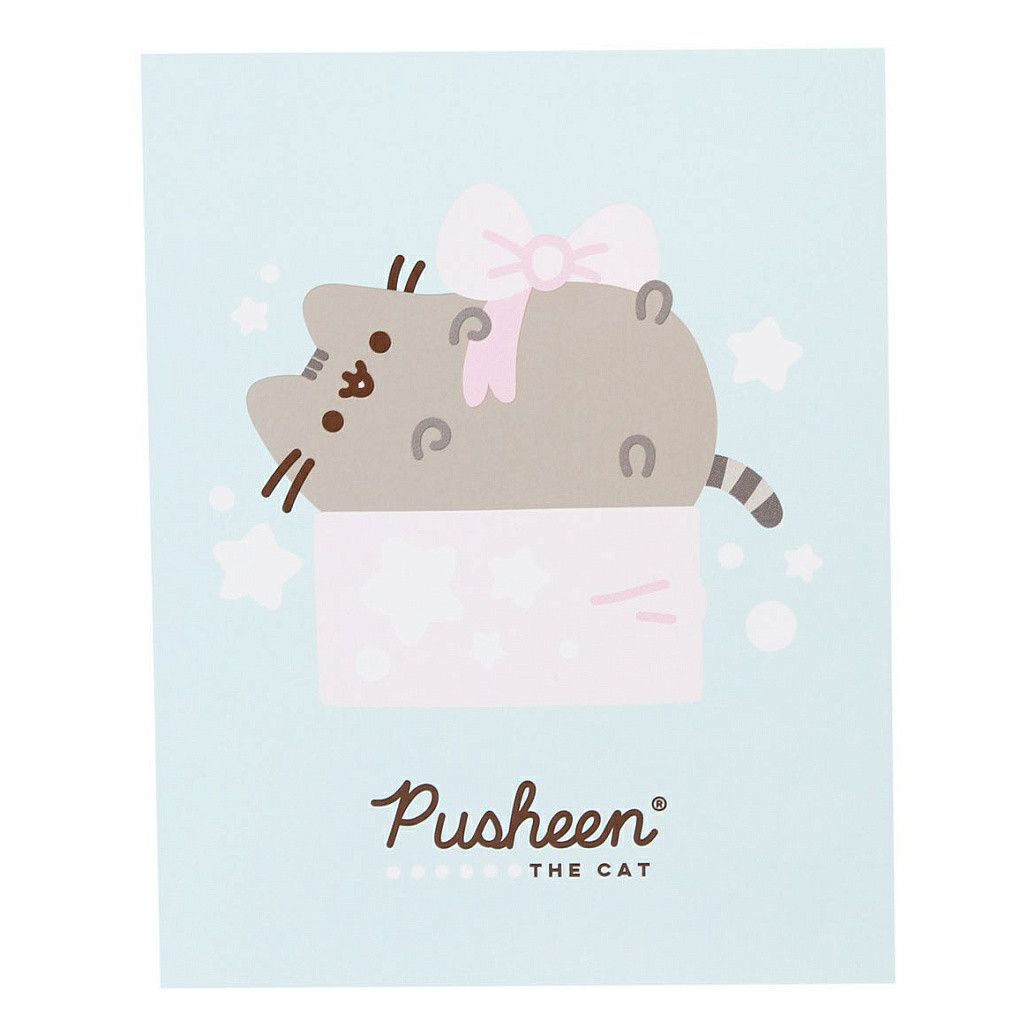 Карамель Pusheen Sweet Pops 10 г с открыткой