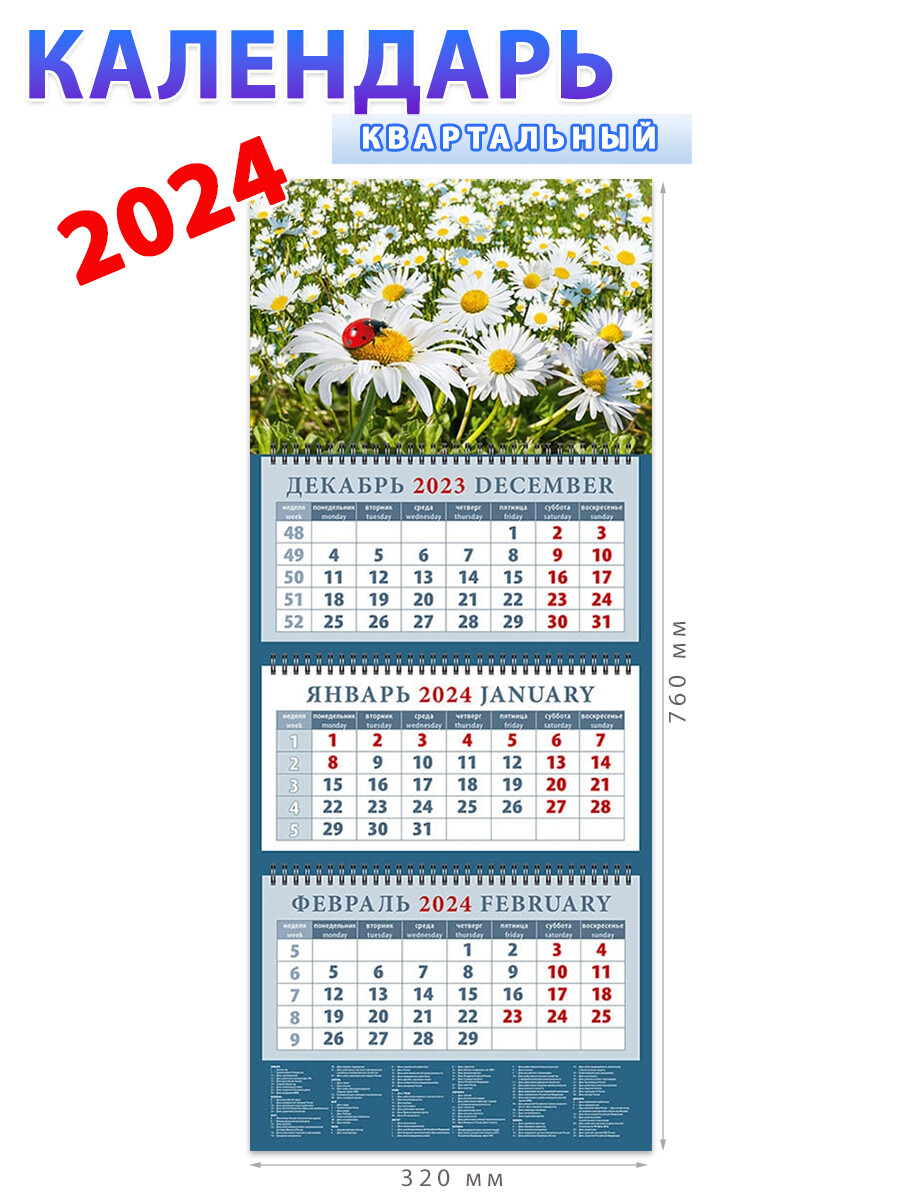 Календарь на 2024 год Ромашки и божья коровка