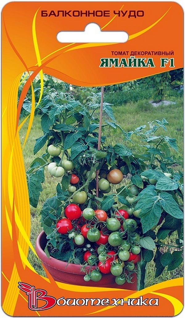 Семена балконных помидоров. Балконное чудо помидоры семена. Семена томат балконный f1. Томат декоративный бонсай микро f1 (Биотехника). Томат Ямайка f1 декоративный 15шт Биотехника.