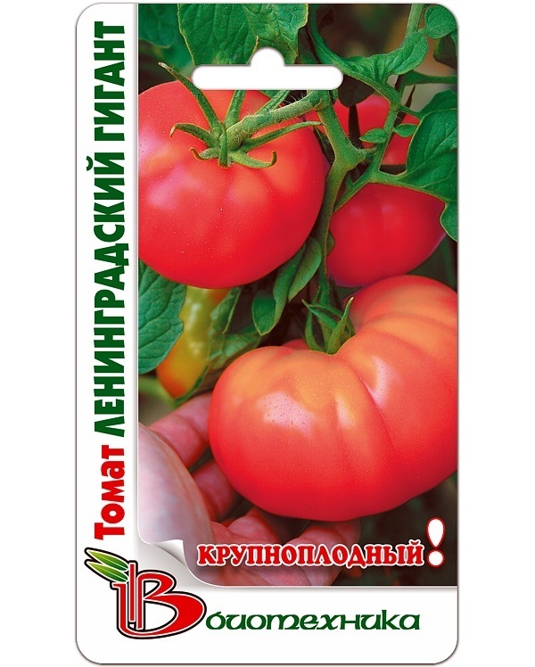 

Семена овощей томат Ленинградский Гигант (Крупноплодный) Биотехника 12561 1 г