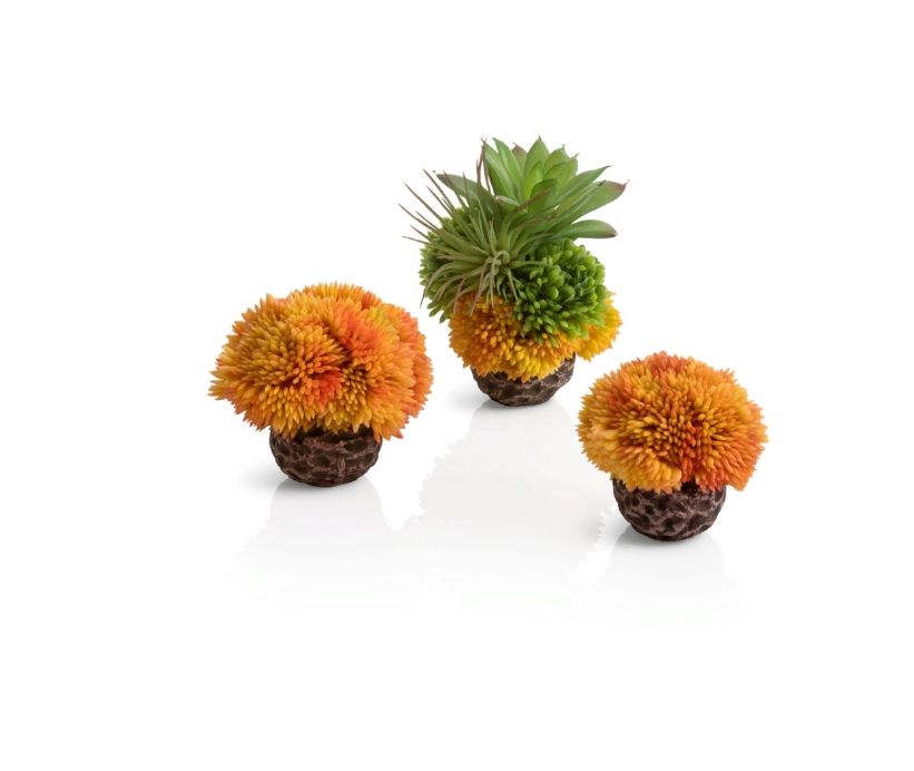 фото Набор из 3-х оранжевых коралловых шаров, coral ball set orange, 8 см biorb