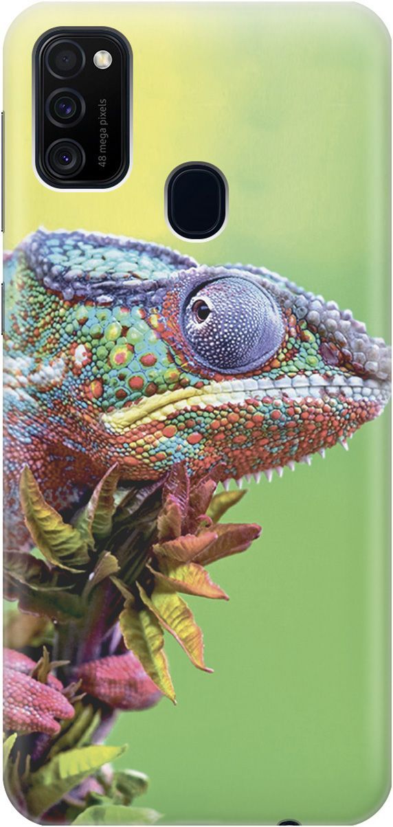 

Чехол на Samsung Galaxy M21/M30s с принтом "Разноцветный хамелеон", Желтый;зеленый, 2315