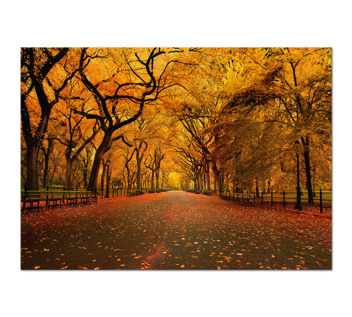 

Картина интерьерная на холсте Poly Print Art Золотая осень 50х70 см.