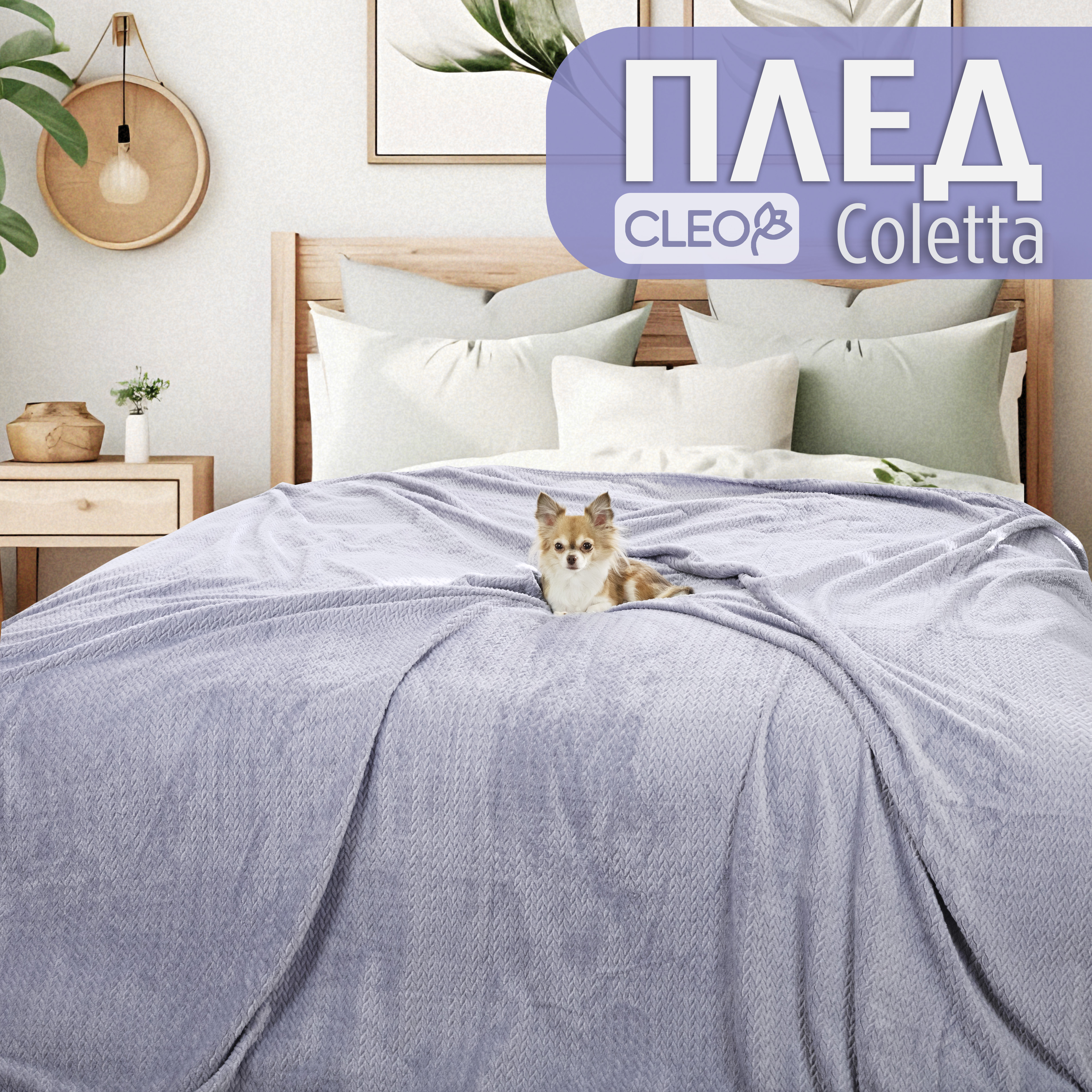 

Плед полуторный однотонный Cleo Home Coletta Collection 150х200 велсофт покрывало на диван, Coletta Collection