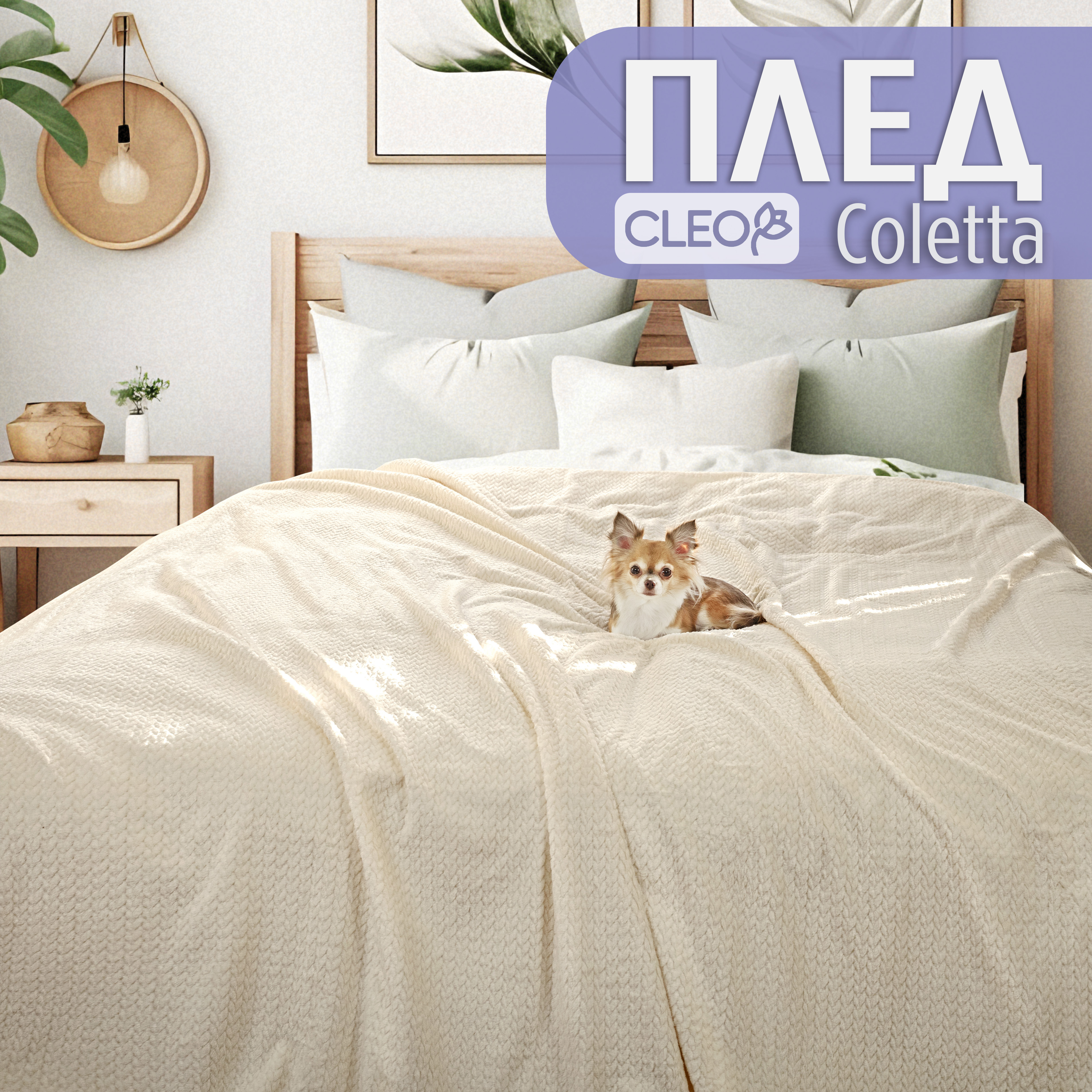 

Плед полуторный однотонный Cleo Home Coletta Collection 150х200 велсофт покрывало на диван, Coletta Collection