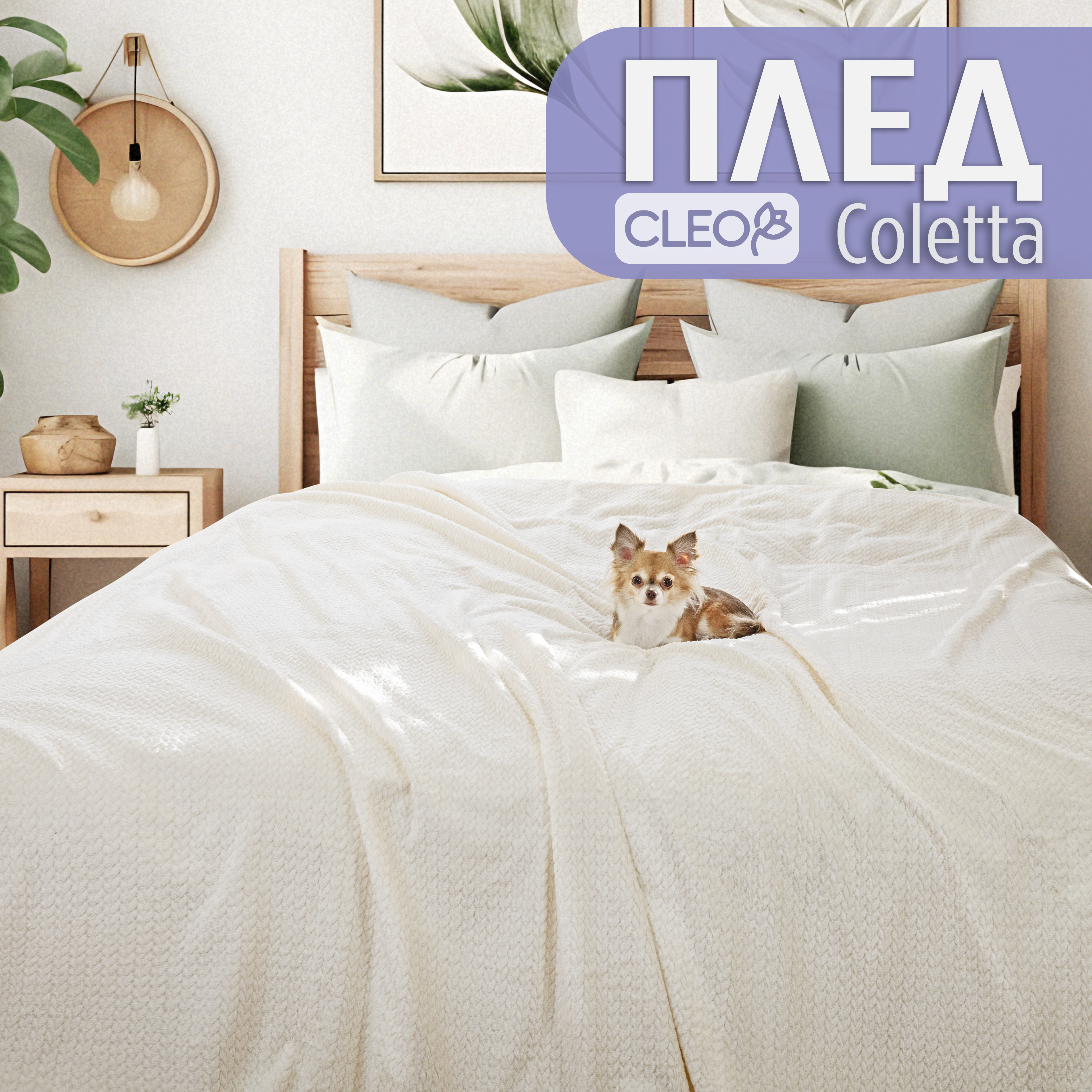 

Плед двуспальный однотонный Cleo Home Coletta Collection 180х200 велсофт покрывало, Coletta Collection