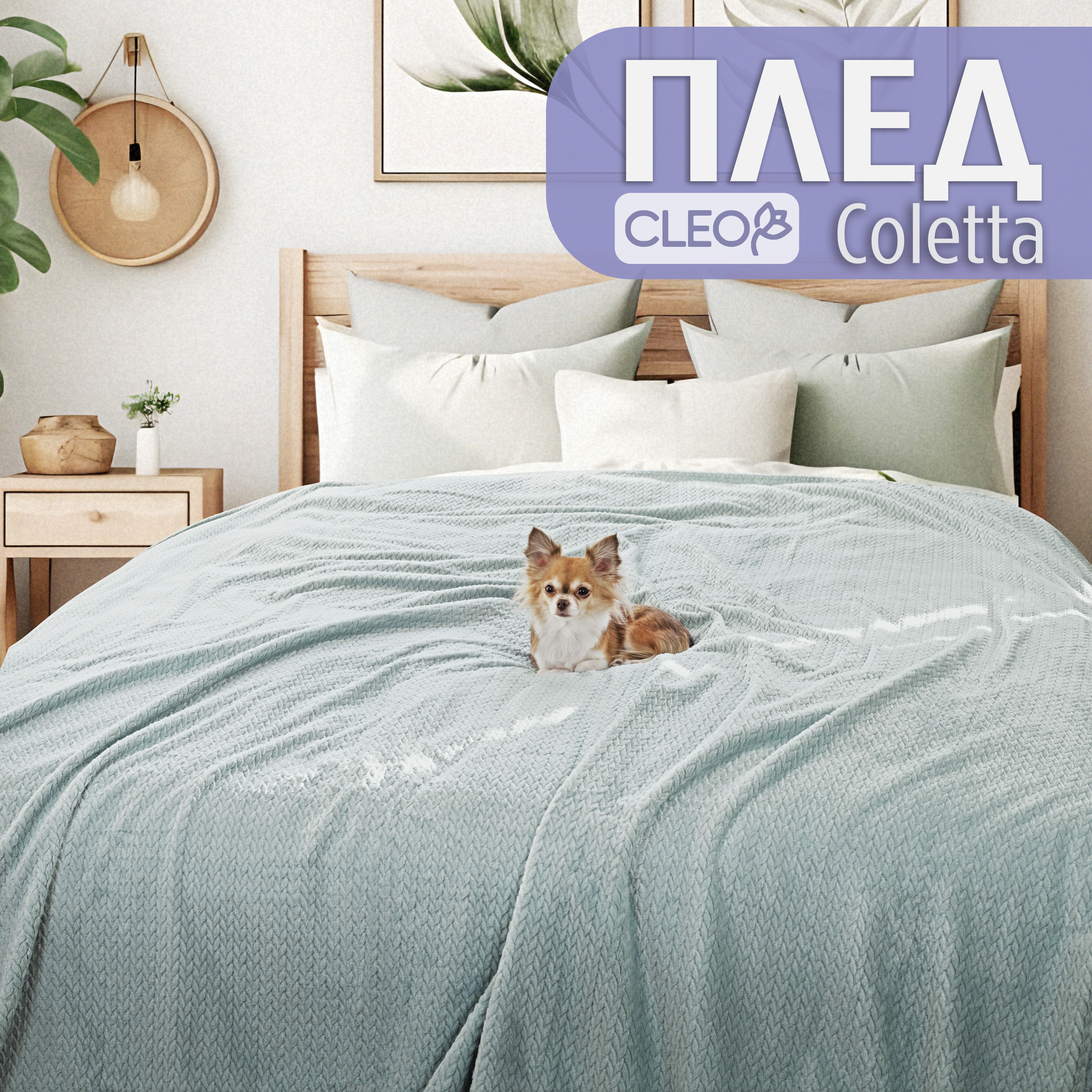 

Плед двуспальный однотонный Cleo Home Coletta Collection 180х200 велсофт покрывало, Coletta Collection