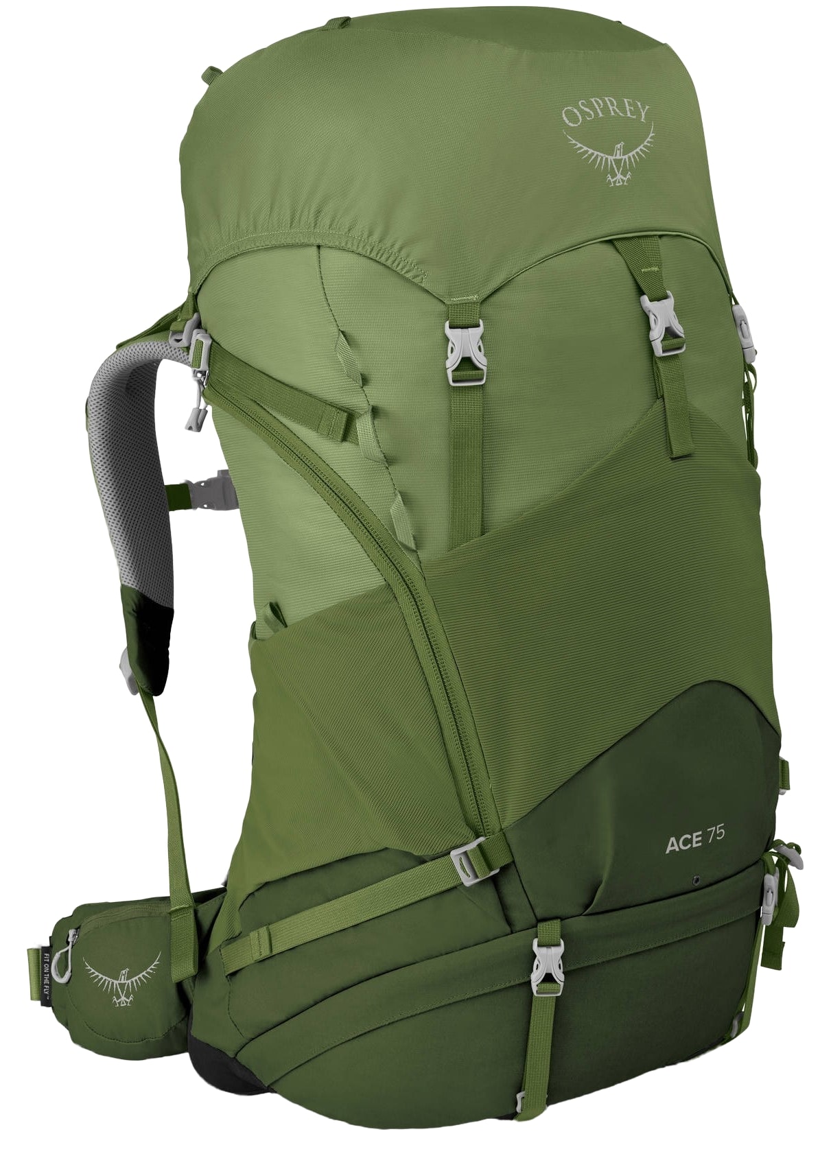 фото Рюкзак osprey ace 75 venture green