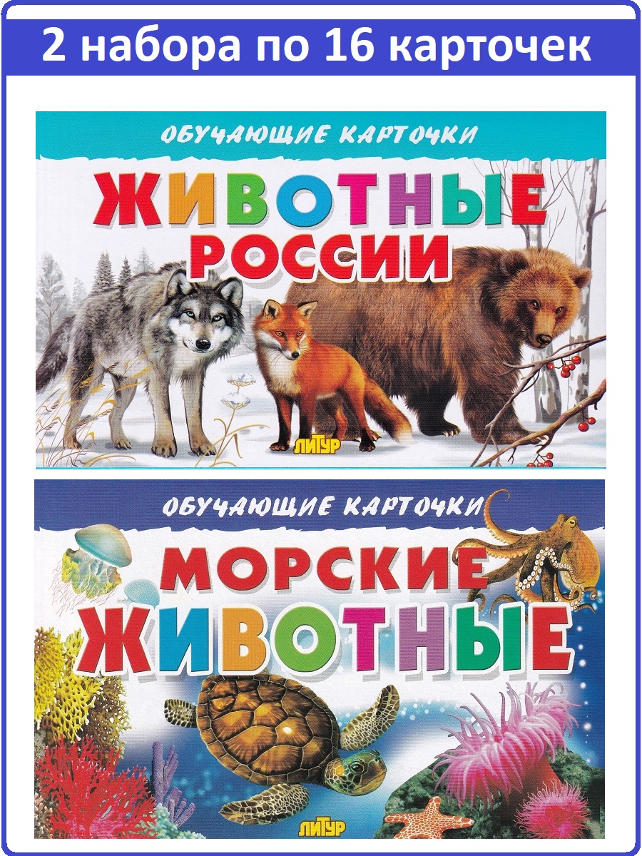 

Обучающие карточки: Животные России, Морские животные (2 набора)
