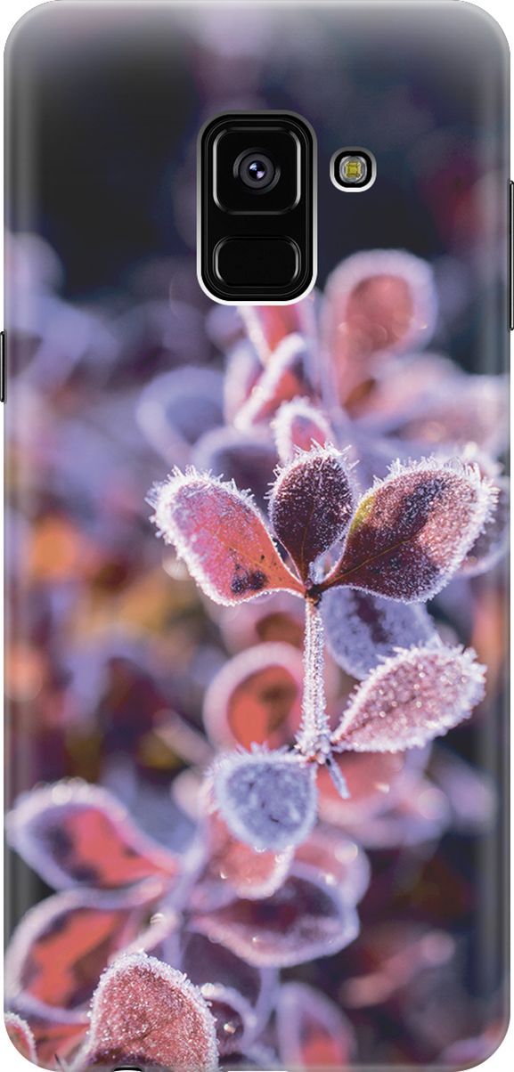 

Чехол на Samsung Galaxy A8+ (2018) с принтом "Иней на листочках", 2861