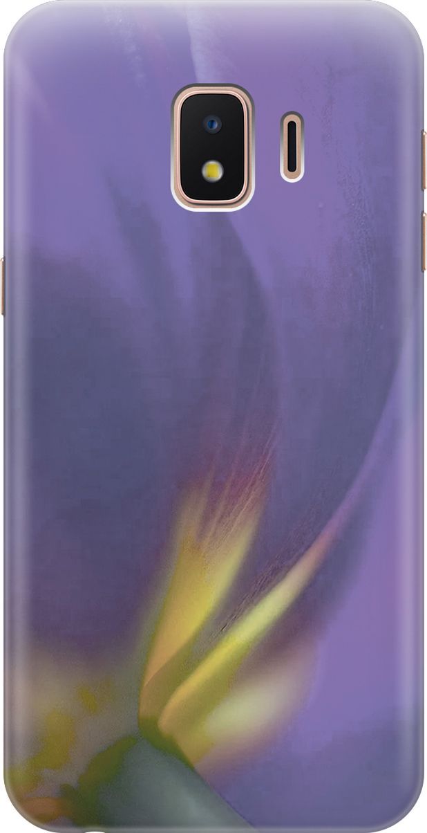 

Чехол на Samsung Galaxy J2 Core с принтом "Фиолетовая фиалка", Желтый;фиолетовый, 2863