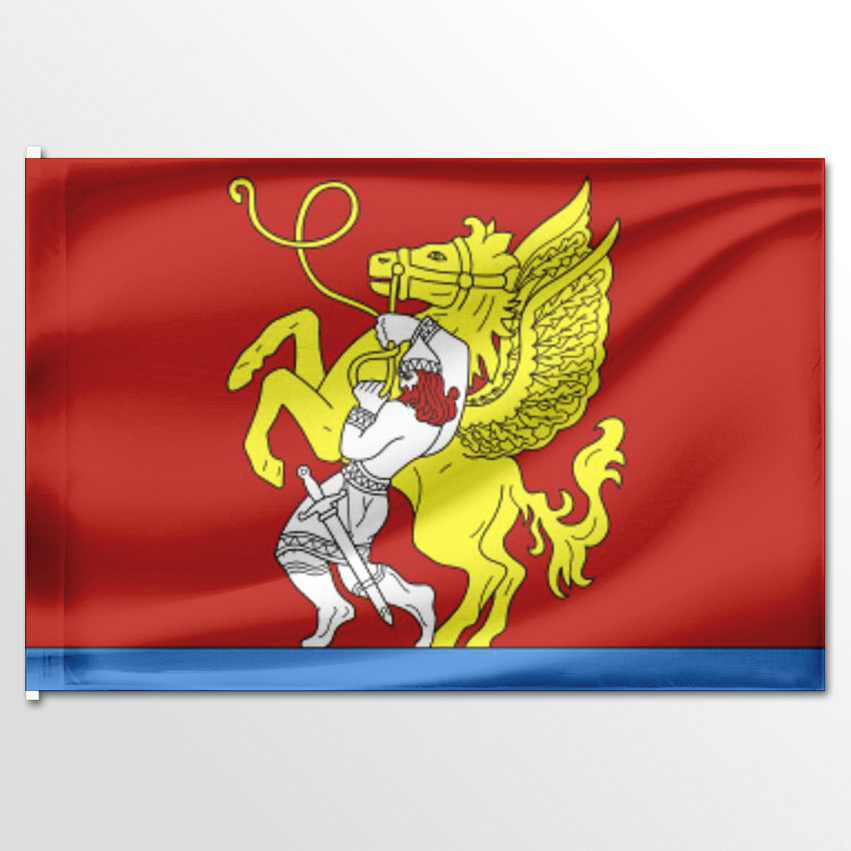 

Флаг ЦТП ФЕНИКС Красночетайского района 135x90 см, 591-135x90
