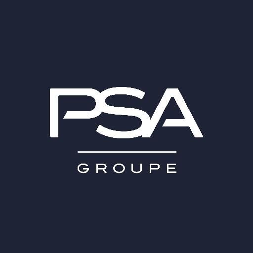 

PEUGEOT-CITROEN 9808363380 Подкрылок пластиковый передн прав Traveller