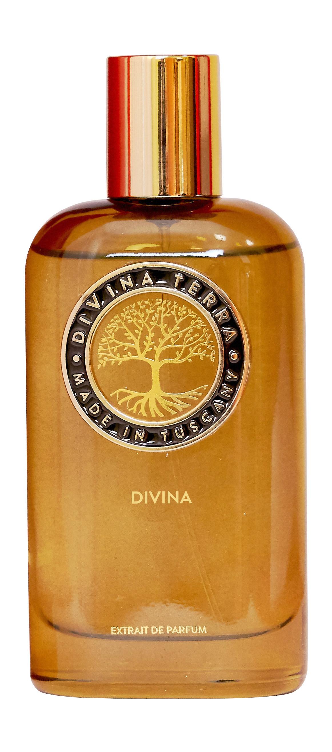 Духи DiVina Terra DiVina Extrait de Parfum, 100 мл