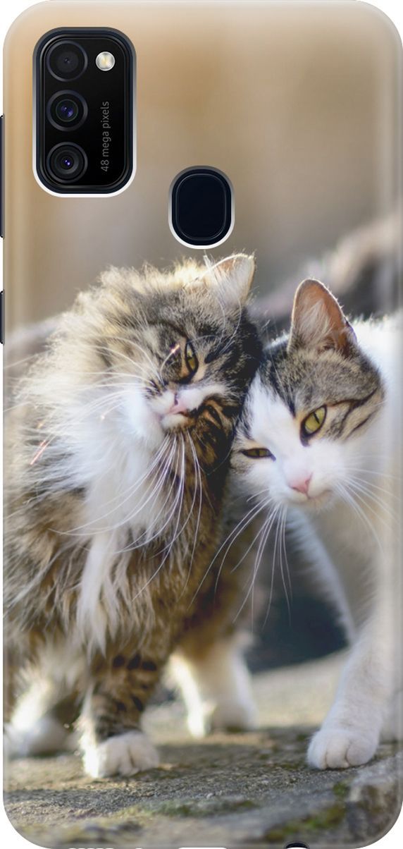 

Чехол на Samsung Galaxy M21/M30s с принтом "Ласкающиеся кошечки", Бежевый;белый, 2868