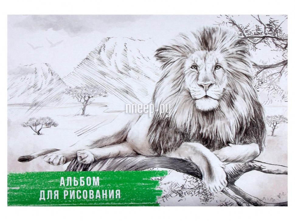 

Альбом для рисования Calligrata Лев А4 40 листов 5666542