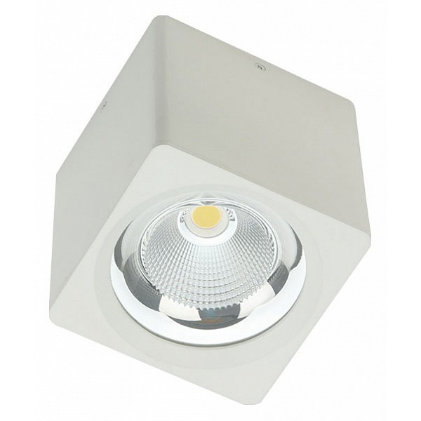 

Накладной светильник Fiberli CH-SD220 12120101, CH-SD220