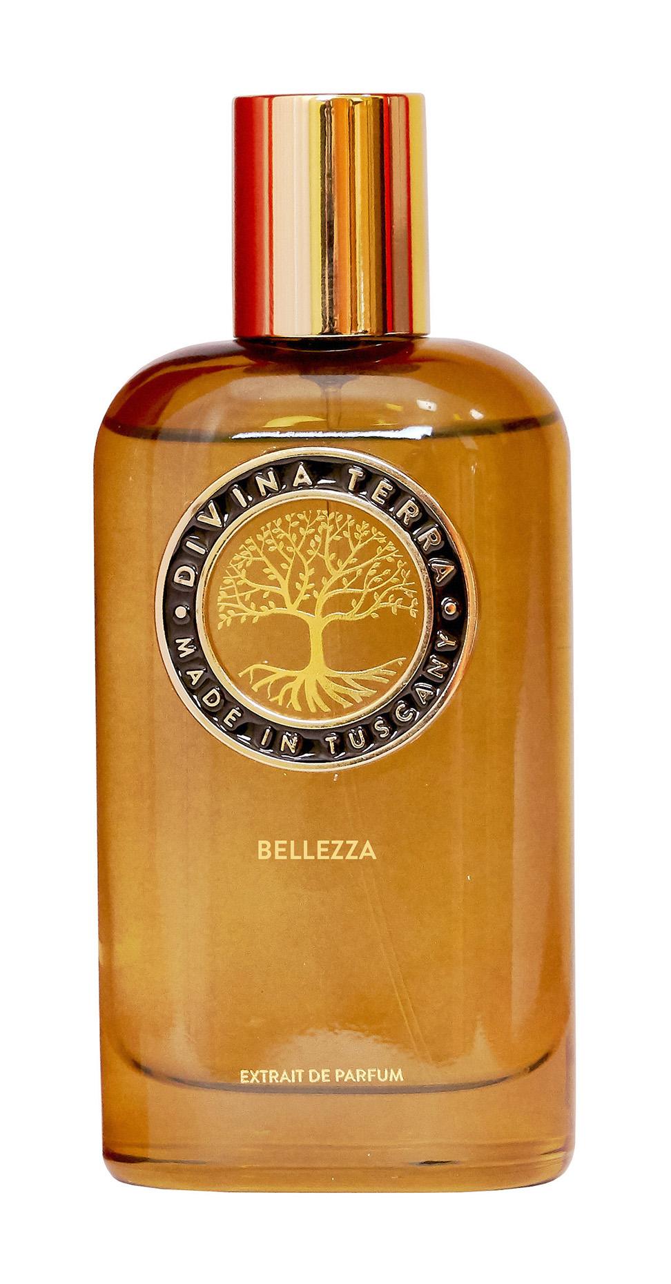 Купить Духи Divina Terra Bellezza Extrait de Parfum, 100 мл