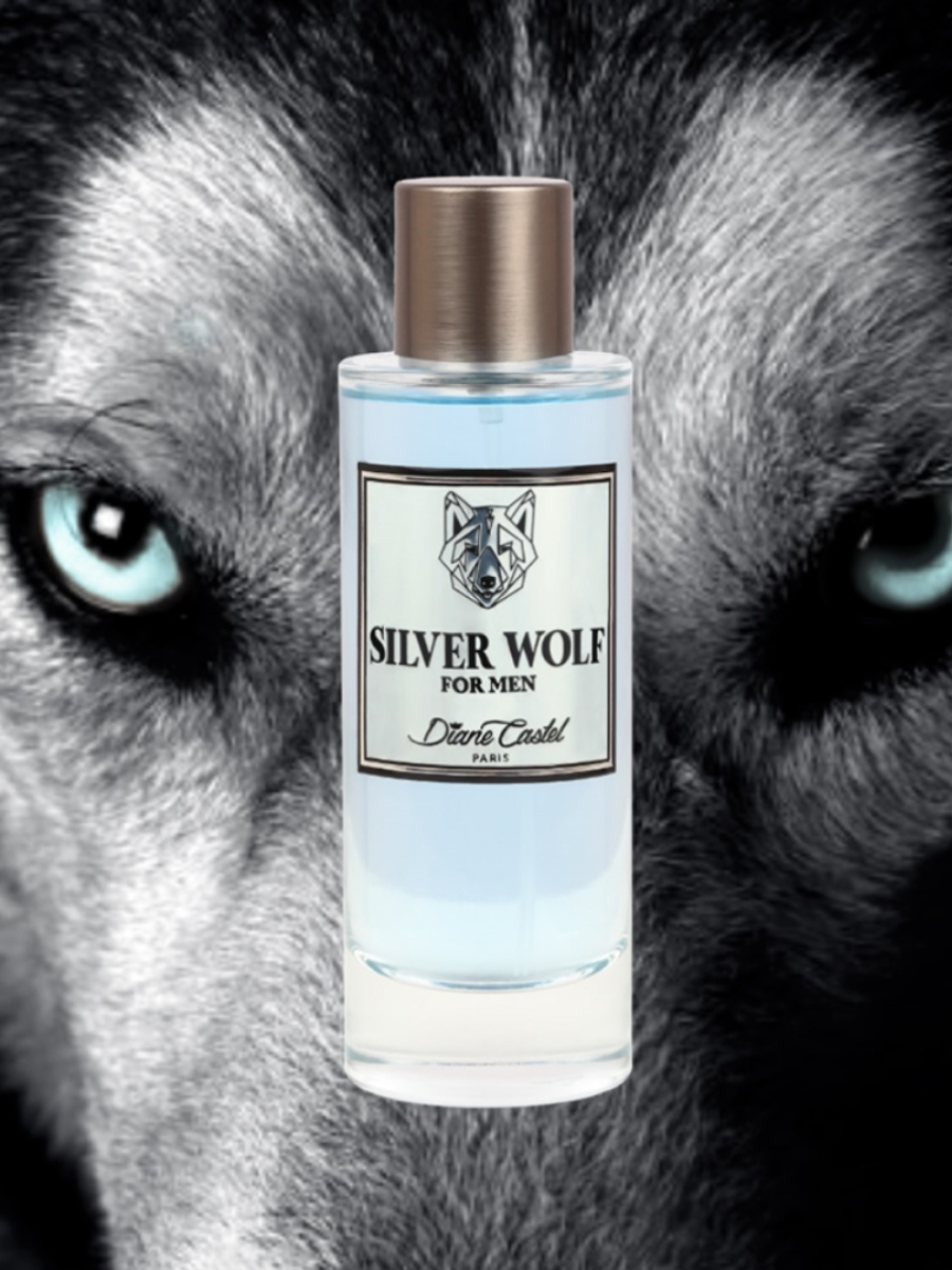 Парфюмерная вода Diane Castel Silver Wolf 100 мл silver blue