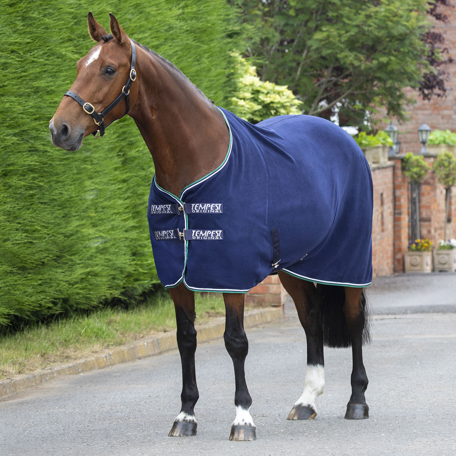 Попона флисовая для лошади SHIRES TEMPEST Original, 145 см, синий