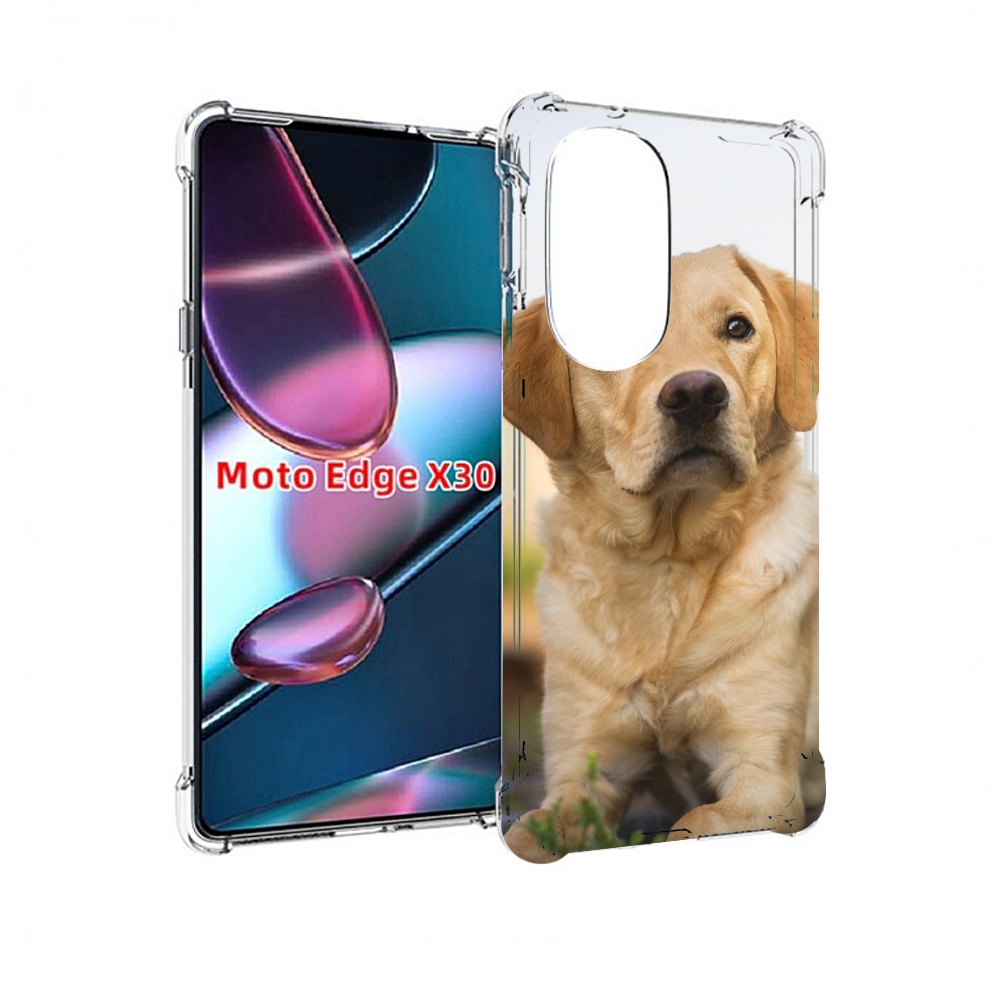 

Чехол MyPads лабрадор ретривер для Motorola Moto Edge X30, Прозрачный, Tocco