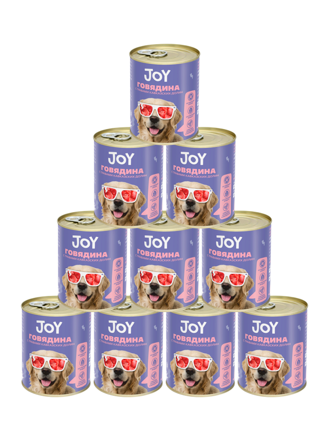 Влажный корм для собак средних и крупных пород JOY с говядиной 10шт по 340г