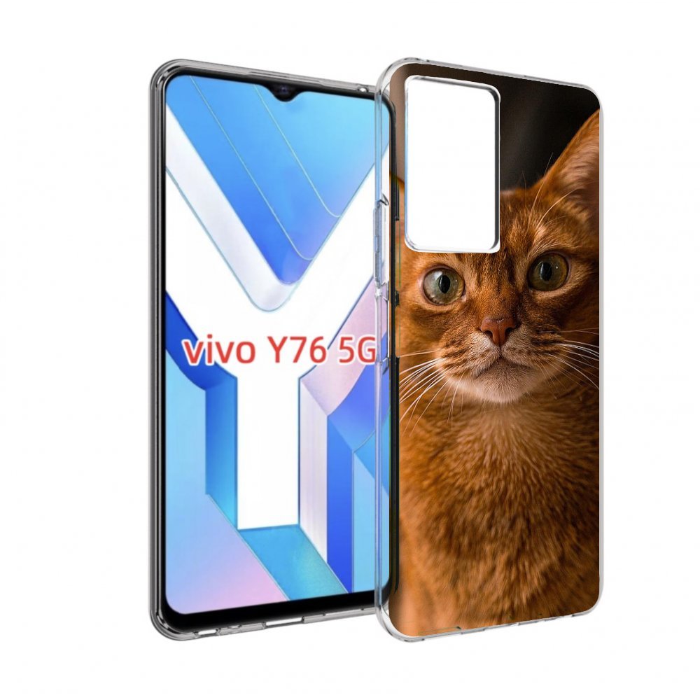 

Чехол MyPads порода кошки абисинская для Vivo Y76 5G, Прозрачный, Tocco