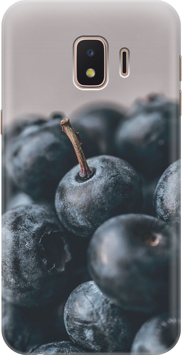 

Силиконовый чехол на Samsung Galaxy J2 Core с принтом "Голубика", Розовый;черный, 7249