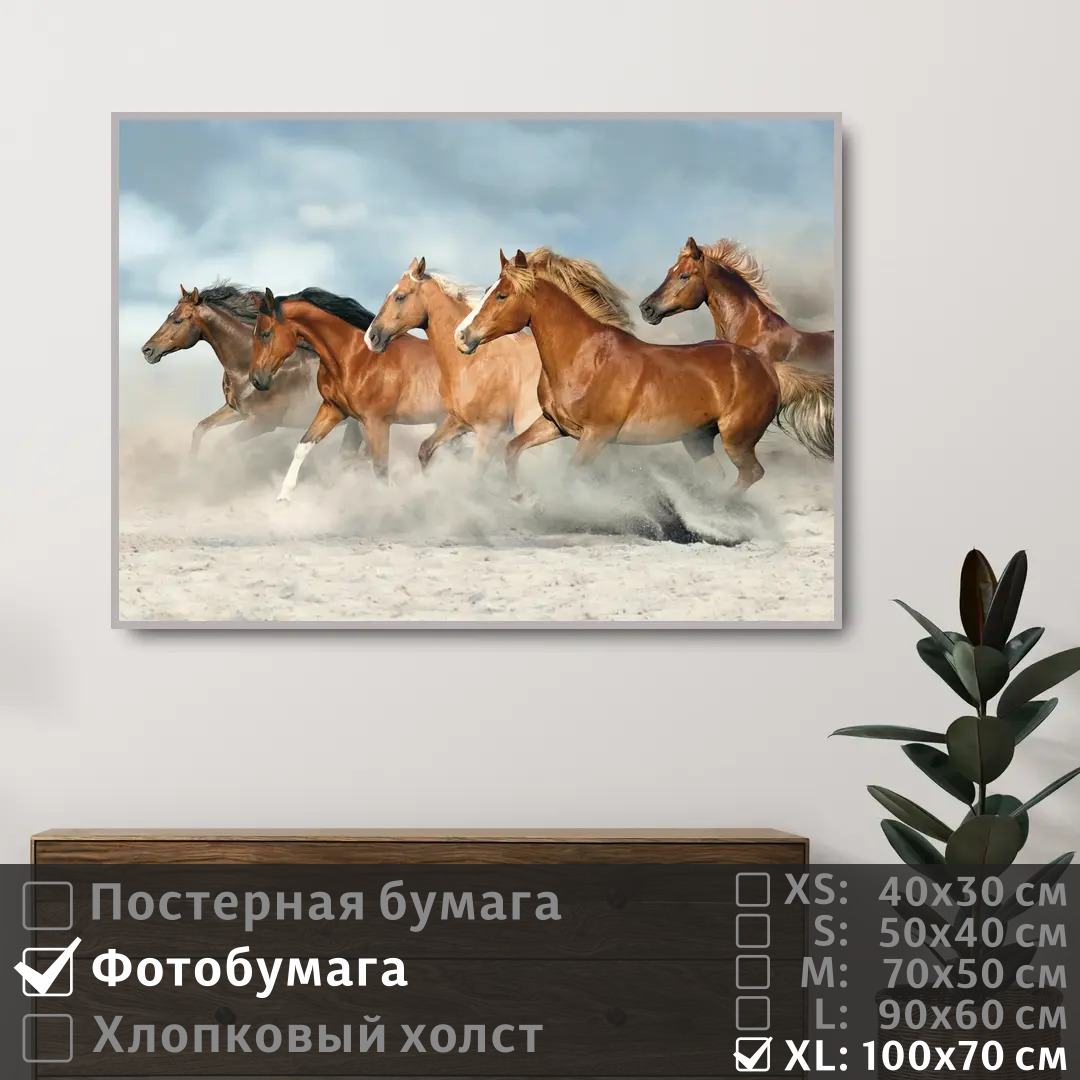 

Постер на фотобумаге ПолиЦентр Лошади скачут по песку 100х70 см, ЛошадиСкачутПоПеску1
