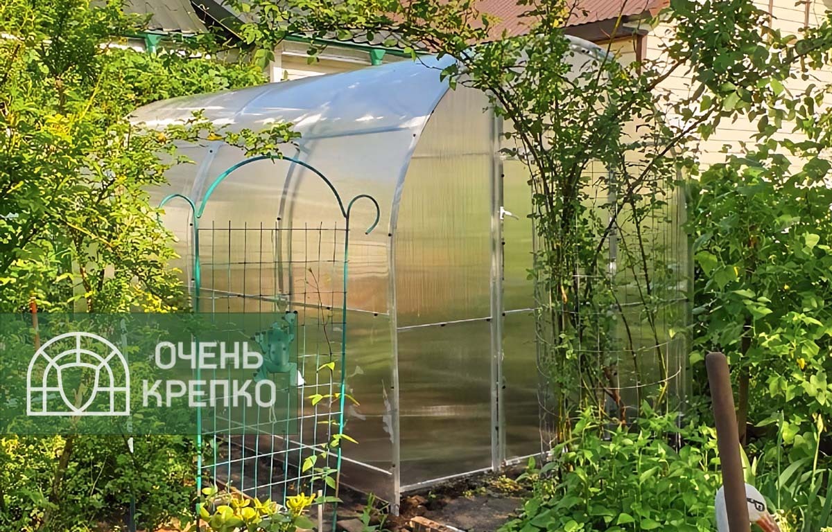 

Теплица Звезда (10 / 5 / Базовый / 2), Прозрачный, Арочные