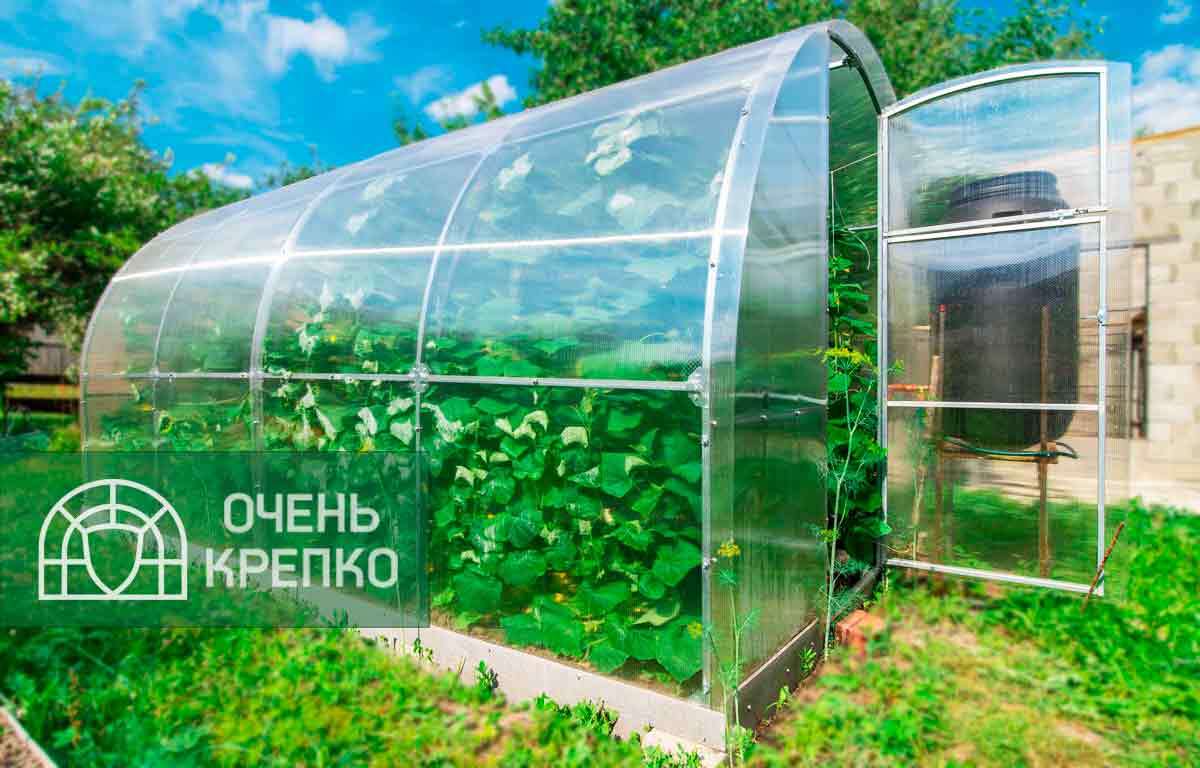 

Теплица Звезда 2,5м (6 / 9 / Базовый / 2.5), Прозрачный, Арочные