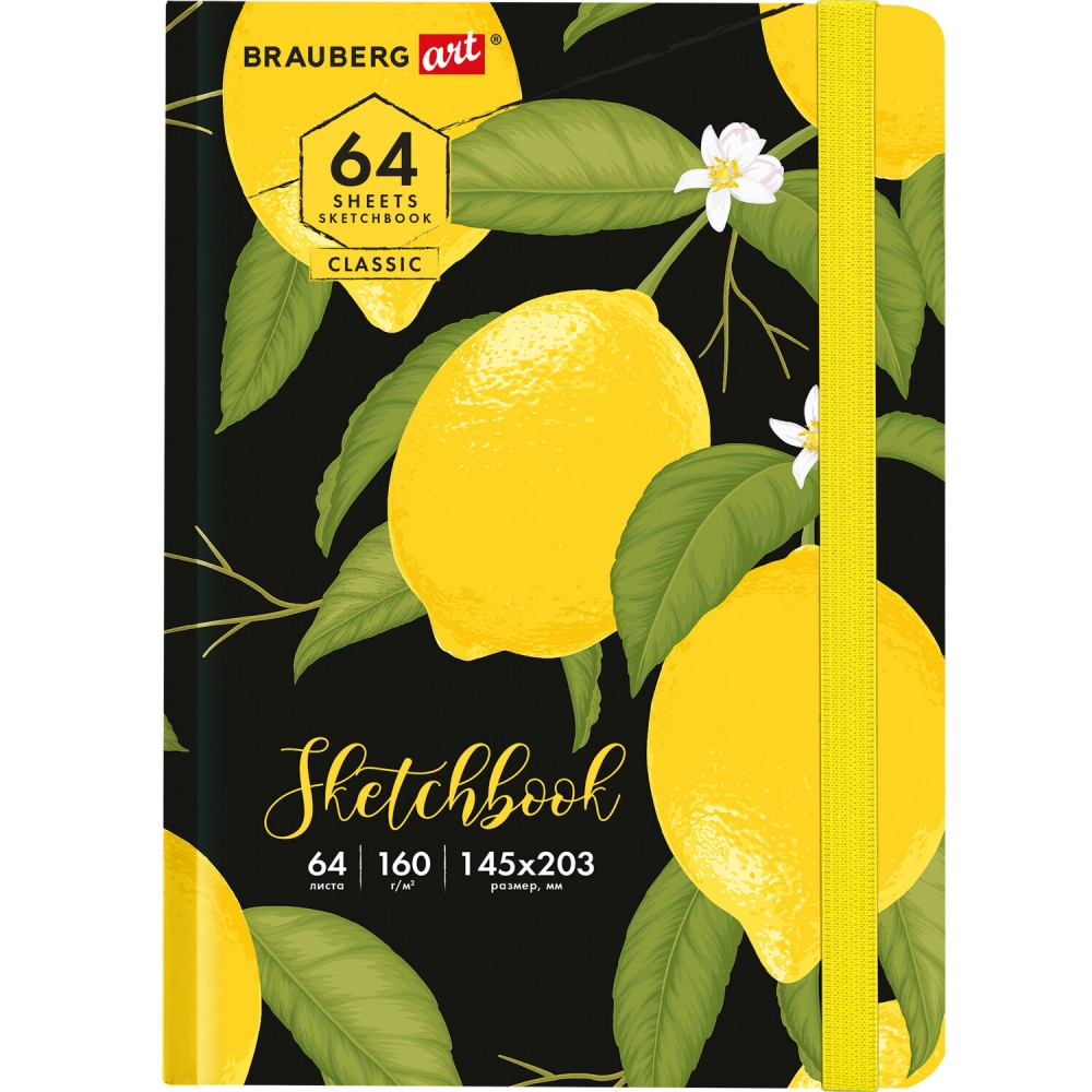 

Набор из 3 шт, Скетчбук Brauberg, белая бумага 160 г/м2, 145х203 мм, 64 л.